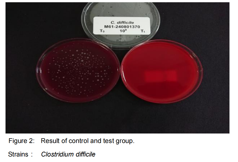Az eldobható függönyök több mint 99% -os hatékonyságot mutatnak az antimikrobiális Clostridium difficile spórák ellen